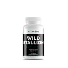 Load image into Gallery viewer, Wild Stallion™
